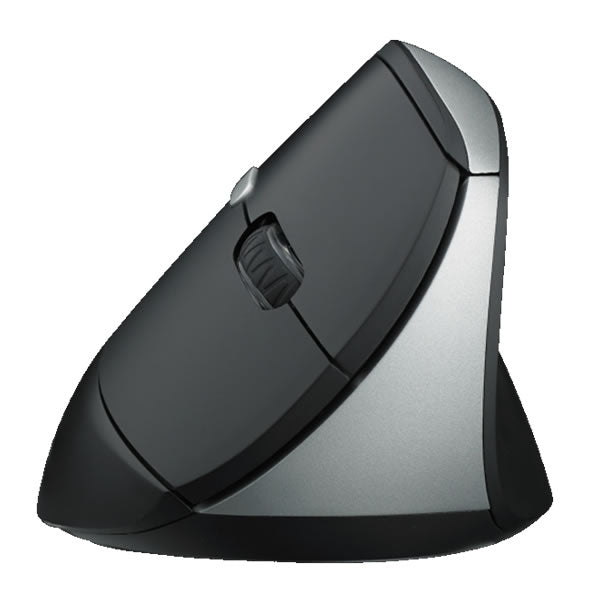 Rapoo EV250 Wireless Ergonomic Mouse – Computer Mania