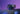 Elgato Facecam 4K - Premium 4K Webcam with Pro-Grade Optics